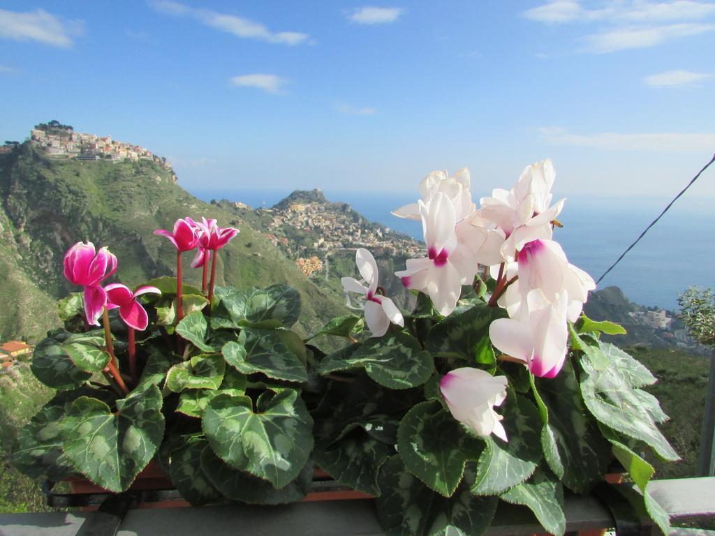 Casale Di Caterina Guest House ตาออร์มินา ภายนอก รูปภาพ